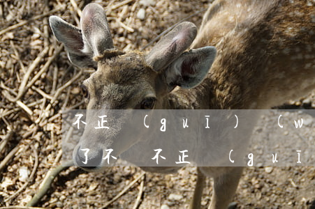 不正規(guī)網(wǎng)貸平臺貸了不還(不正規(guī)的網(wǎng)貸平臺不還可以嗎)