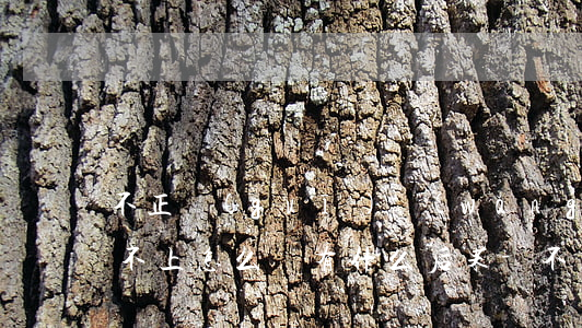 不正規(guī)網(wǎng)貸逾期還不上怎么辦有什么后果-不正規(guī)網(wǎng)貸逾期還不上怎么辦有什么后果嗎
