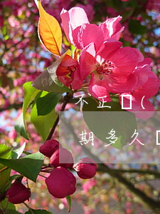 不正規(guī)網貸多久開始催收(網貸逾期多久開始催收)