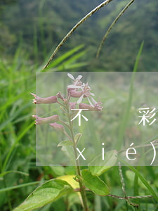 不歸還彩禮的離婚協(xié)議(離婚協(xié)議彩禮退還范本)