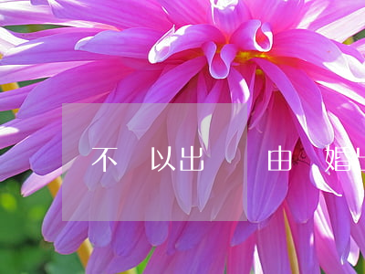 不準以出軌為由離婚(出軌不能作為離婚理由)