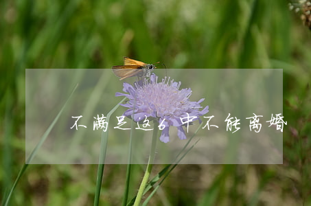 不满足这6中不能离婚