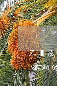 不滿法院判的信用卡糾紛怎么起訴-不滿法院判的信用卡糾紛怎么起訴呢