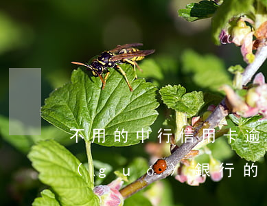 不用的中行信用卡逾期(沒(méi)有中國(guó)銀行的信用卡 卻收到中國(guó)銀行逾期信息)