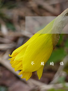 不用的信用卡年費逾期(信用卡 逾期 費用)
