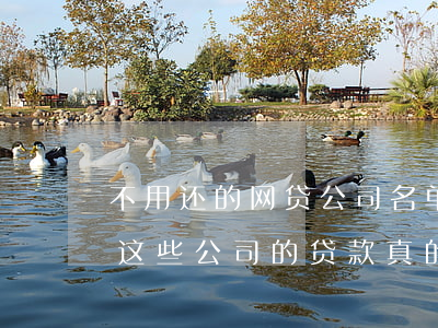 不用还的网贷公司名单，揭示网贷行业的黑幕：这些公司的贷款真的可以不还吗？
