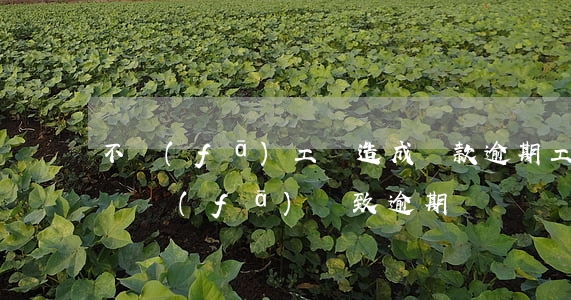 不發(fā)工資造成貸款逾期(工資沒有按時發(fā)導致逾期)
