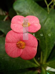 不看征信的黑户小额网贷(不上征信的黑网贷)
