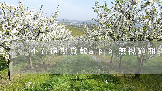 不看逾期貸款app(無視逾期的貸款平臺)