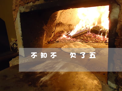 不知不覺欠了五萬網貸(網貸欠五萬多嗎)