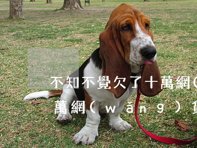 不知不覺欠了十萬網(wǎng)貸(欠10萬網(wǎng)貸)