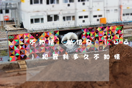 不知情幫助信息網(wǎng)絡(luò)犯罪判多久(不知情幫助信息網(wǎng)絡(luò)犯罪判多久不知情幫助網(wǎng))