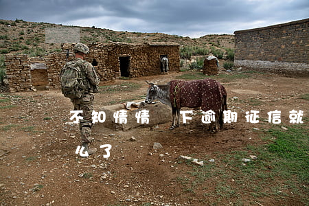 不知情情況下逾期征信就不良(征信不良是怎么了)