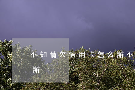 不知情欠信用卡怎么辦(不知情欠信用卡怎么辦)