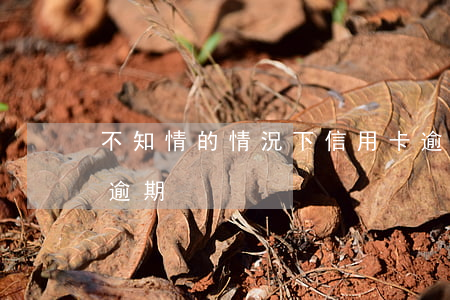 不知情的情況下信用卡逾期（無緣無故信用卡逾期）