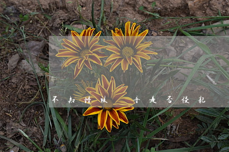 不知情被錄音是否侵犯隱私權(quán)