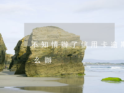 不知情辦了信用卡逾期怎么辦(信用卡逾期怎么辦)