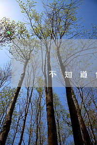 不知道他是不是真的離婚該怎么辦