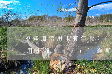 不知道信用卡有年費(fèi)然后逾期（信用卡沒(méi)逾期算利息不）
