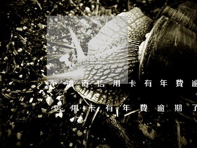 不知道信用卡有年費逾期了怎么辦-不知道信用卡有年費逾期了怎么辦呢