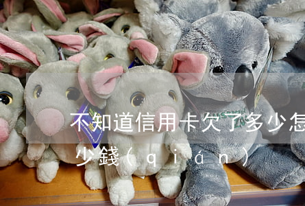 不知道信用卡欠了多少 怎么看欠了信用卡多少錢(qián)