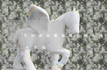 不知道前妻拿著信用卡透支(前夫透支我信用卡不還)