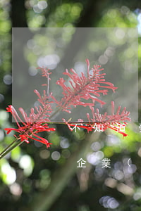 不知道勞動(dòng)法可以追繳社保嗎(企業(yè)社保不追繳)