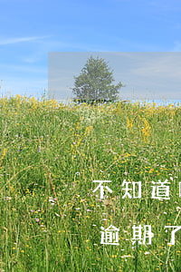 不知道哪張信用卡逾期了（在深圳開的信用卡逾期了）