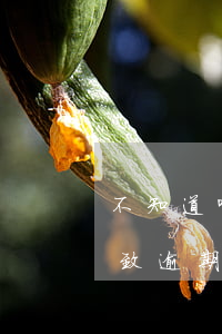 不知道哪張信用卡逾期了（還錯卡號信用卡導致逾期）