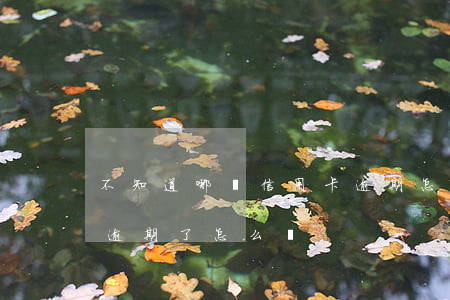 不知道哪張信用卡逾期怎么辦(有一張信用卡逾期了怎么辦)