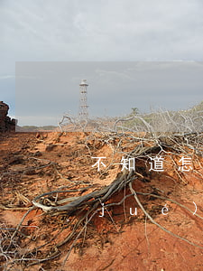 不知道怎么欠的信用卡(用信用卡不知不覺(jué)欠了很多錢)