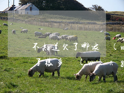 不知道欠了哪家網(wǎng)貸怎么還(欠了很多網(wǎng)貸 不知道怎么還了)