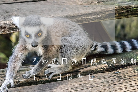 不知道沒有寬限期算逾期嗎(逾期有時(shí)間限制嗎)
