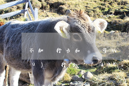 不知銀行卡和開戶可以讓法院查嗎(根據(jù)銀行卡號(hào)可以查出開戶行嗎)