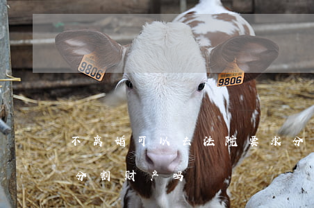 不离婚可以去法院要求分割财产吗(离婚必须分割财产吗?)