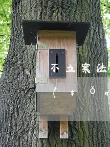 不立案法院可以查銀行卡記錄嗎(法院有系統(tǒng)可以查各個(gè)銀行的銀行卡嗎)