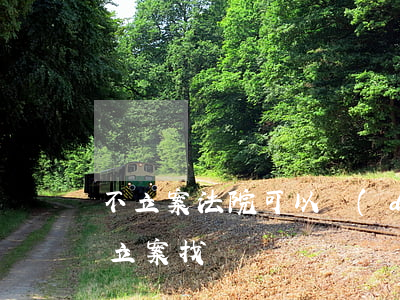 不立案法院可以調(diào)查嗎(法院不立案找誰)