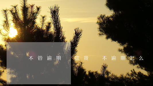 不管逾期貸款(我從不逾期怎么貸不了款)