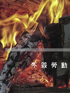 不簽勞動合同對誰有利