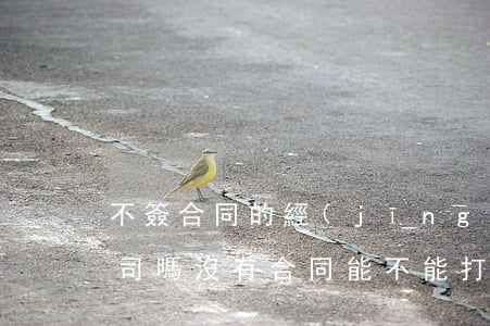 不簽合同的經(jīng)濟糾紛可以打官司嗎(沒有合同能不能打官司)
