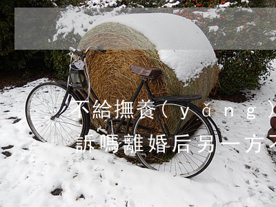 不給撫養(yǎng)費(fèi)可以起訴嗎(離婚后另一方不給撫養(yǎng)費(fèi)可以起訴嗎)