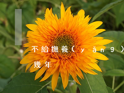 不給撫養(yǎng)費(fèi)會失信幾年