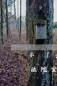 不經(jīng)過(guò)法院可以嗎(法院宣判可以不去嗎)