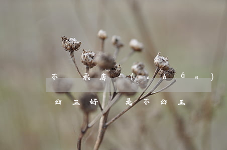 不繼承房產(chǎn)能公正嗎(遺囑繼承公正好還是不公正?)