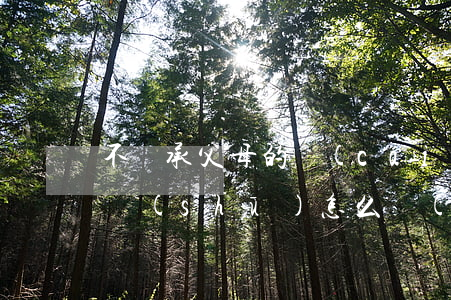 不繼承父母的財(cái)產(chǎn)書(shū)怎么寫(xiě)(財(cái)產(chǎn)繼承如何寫(xiě))
