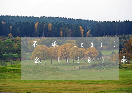 不繼承財(cái)產(chǎn)證明怎么寫(xiě)(繼承財(cái)產(chǎn)證明范文)