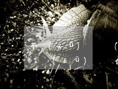 不續(xù)簽勞動(dòng)合同公司給補(bǔ)償嗎(合同到期了公司不續(xù)簽有賠償嗎)