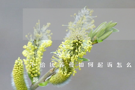 不给抚养费如何起诉(怎么起诉不给抚养费问题)