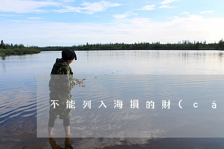 不能列入海損的財(cái)物有哪些