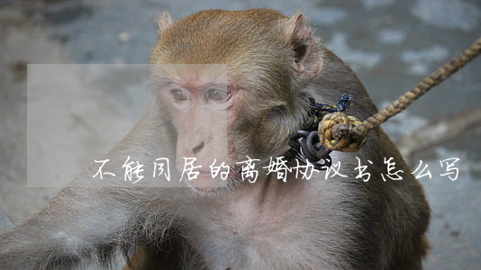 不能同居的离婚协议书怎么写